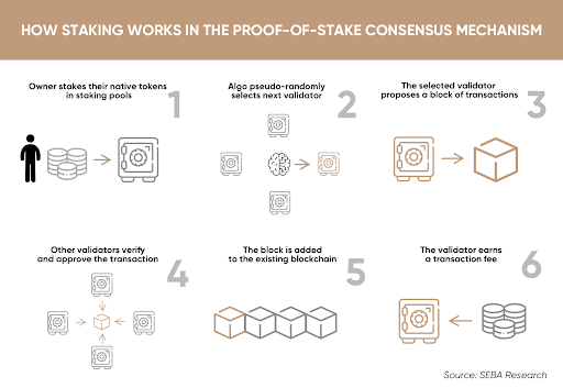 What Is A Blockchain Consensus Algorithm And How Does It Work ...